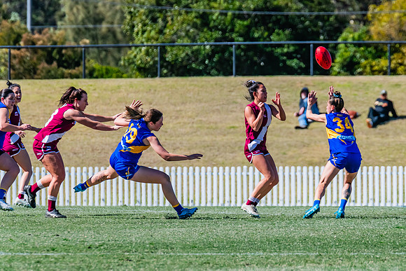 WPD Qualifying Final - East Coast v Manly-Warringah - 19 August 2023