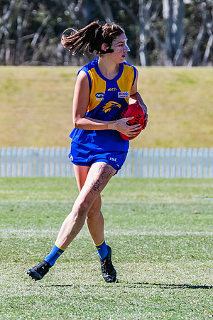 WPD Qualifying Final - East Coast v Manly-Warringah - 19 August 2023