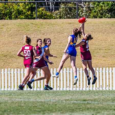 WPD Qualifying Final - East Coast v Manly-Warringah - 19 August 2023