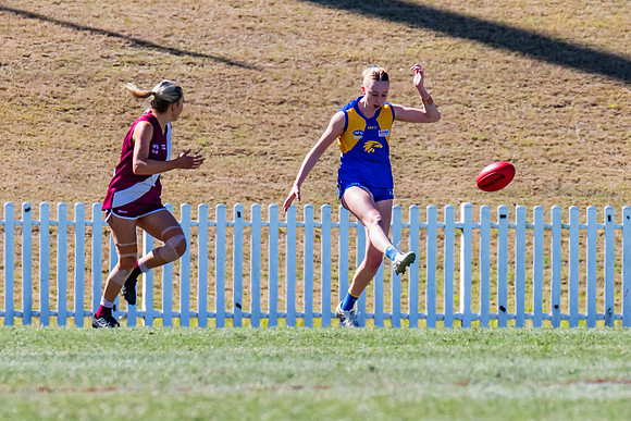 WPD Qualifying Final - East Coast v Manly-Warringah - 19 August 2023