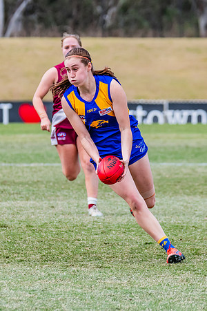 WPD Qualifying Final - East Coast v Manly-Warringah - 19 August 2023