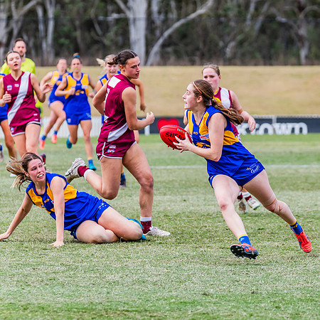 WPD Qualifying Final - East Coast v Manly-Warringah - 19 August 2023