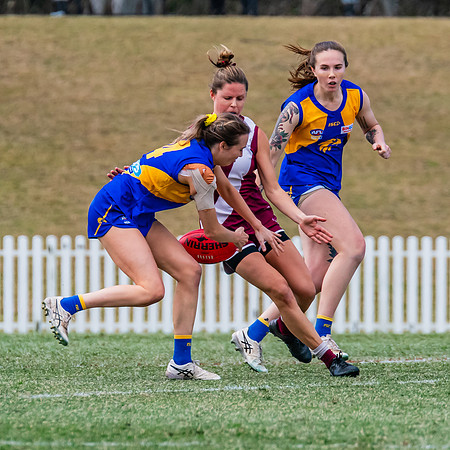 WPD Qualifying Final - East Coast v Manly-Warringah - 19 August 2023