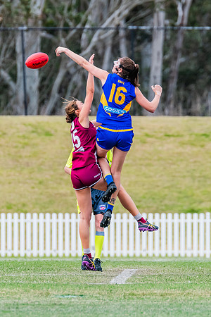 WPD Qualifying Final - East Coast v Manly-Warringah - 19 August 2023
