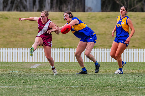WPD Qualifying Final - East Coast v Manly-Warringah - 19 August 2023