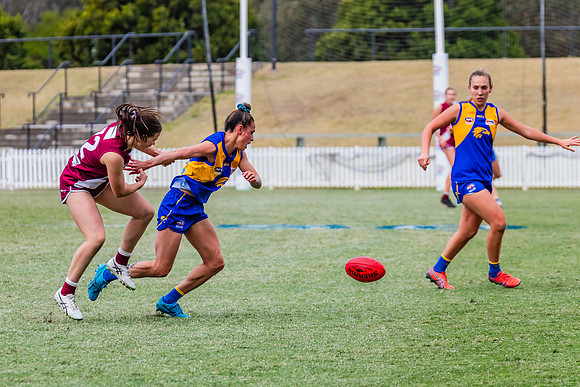 WPD Qualifying Final - East Coast v Manly-Warringah - 19 August 2023