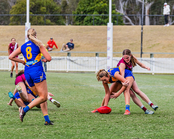 WPD Qualifying Final - East Coast v Manly-Warringah - 19 August 2023