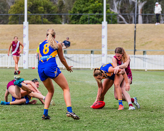 WPD Qualifying Final - East Coast v Manly-Warringah - 19 August 2023
