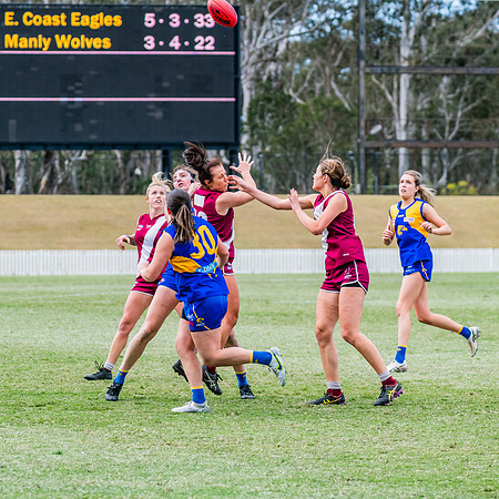 WPD Qualifying Final - East Coast v Manly-Warringah - 19 August 2023