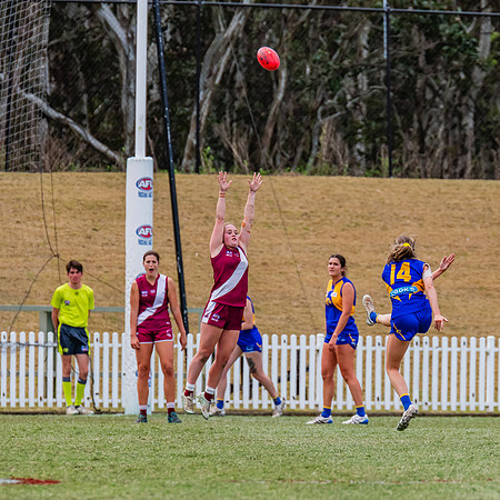 WPD Qualifying Final - East Coast v Manly-Warringah - 19 August 2023