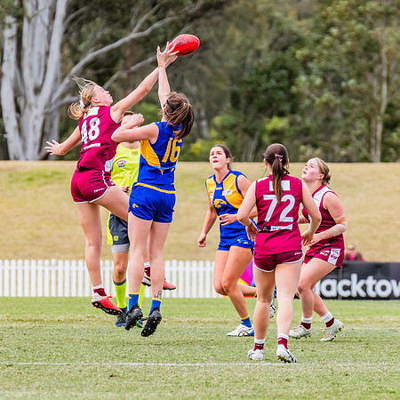 WPD Qualifying Final - East Coast v Manly-Warringah - 19 August 2023