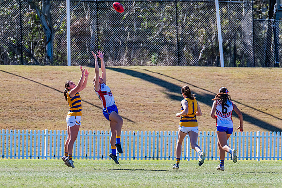 WPD Elimination Final - Macquarie Uni v Sydney Uni - 20 August 2