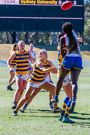WPD Elimination Final - Macquarie Uni v Sydney Uni - 20 August 2