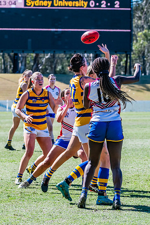 WPD Elimination Final - Macquarie Uni v Sydney Uni - 20 August 2