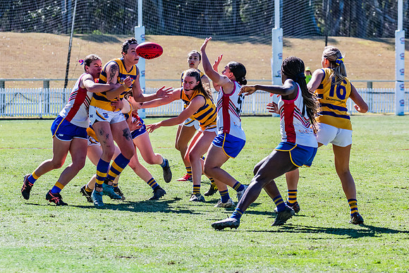 WPD Elimination Final - Macquarie Uni v Sydney Uni - 20 August 2