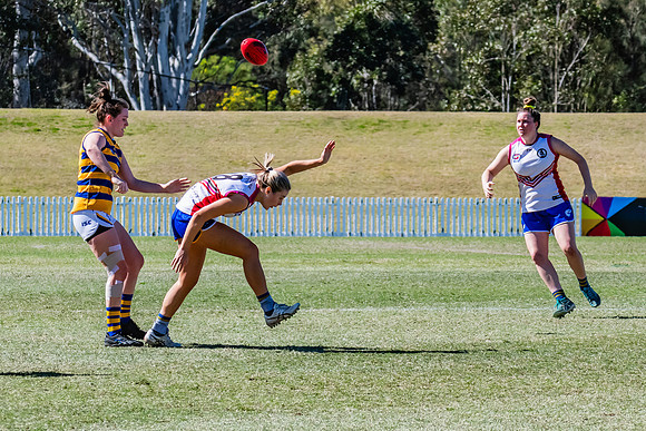 WPD Elimination Final - Macquarie Uni v Sydney Uni - 20 August 2