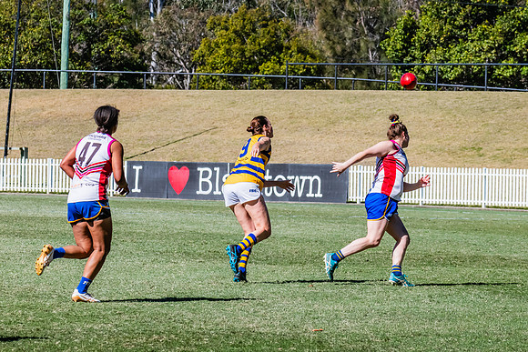 WPD Elimination Final - Macquarie Uni v Sydney Uni - 20 August 2