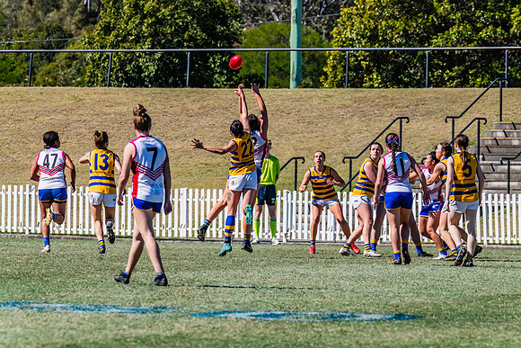 WPD Elimination Final - Macquarie Uni v Sydney Uni - 20 August 2