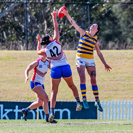 WPD Elimination Final - Macquarie Uni v Sydney Uni - 20 August 2
