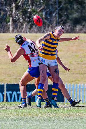 WPD Elimination Final - Macquarie Uni v Sydney Uni - 20 August 2