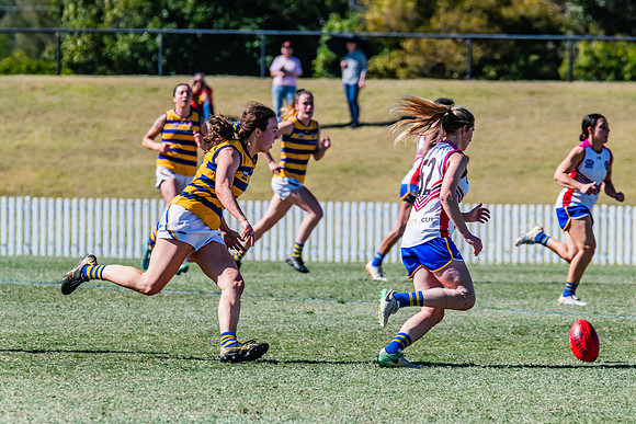 WPD Elimination Final - Macquarie Uni v Sydney Uni - 20 August 2