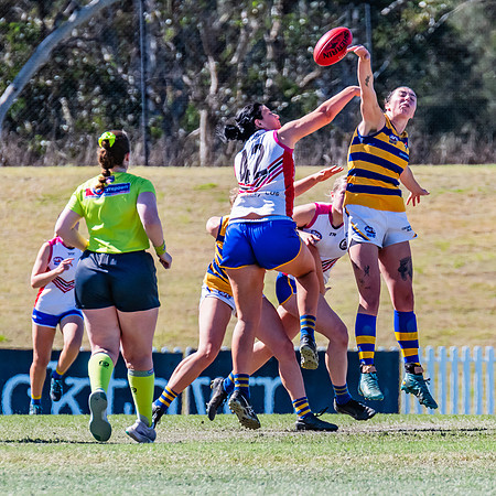 WPD Elimination Final - Macquarie Uni v Sydney Uni - 20 August 2