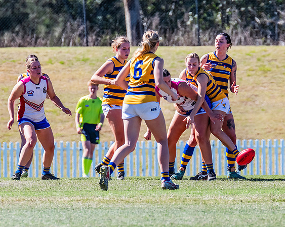 WPD Elimination Final - Macquarie Uni v Sydney Uni - 20 August 2