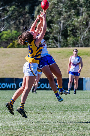 WPD Elimination Final - Macquarie Uni v Sydney Uni - 20 August 2