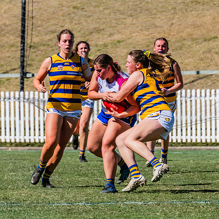 WPD Elimination Final - Macquarie Uni v Sydney Uni - 20 August 2