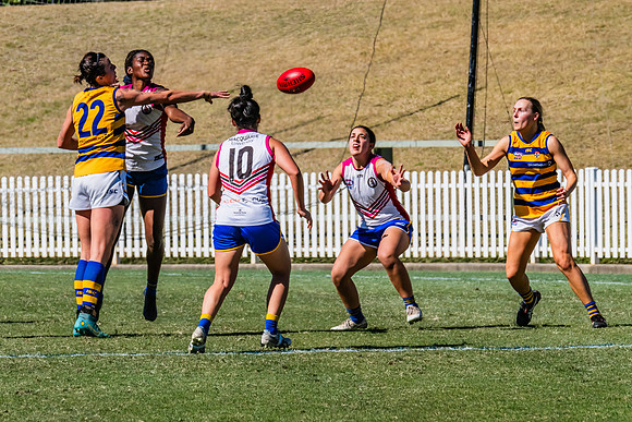WPD Elimination Final - Macquarie Uni v Sydney Uni - 20 August 2