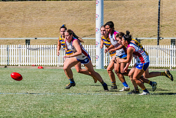 WPD Elimination Final - Macquarie Uni v Sydney Uni - 20 August 2