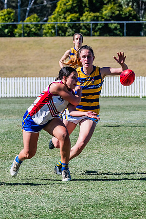 WPD Elimination Final - Macquarie Uni v Sydney Uni - 20 August 2