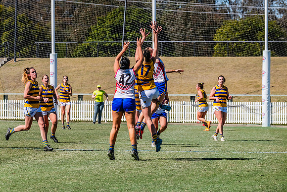 WPD Elimination Final - Macquarie Uni v Sydney Uni - 20 August 2