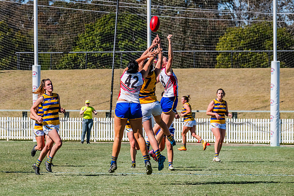 WPD Elimination Final - Macquarie Uni v Sydney Uni - 20 August 2