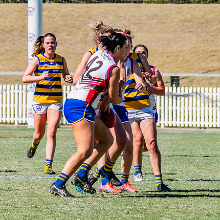 WPD Elimination Final - Macquarie Uni v Sydney Uni - 20 August 2