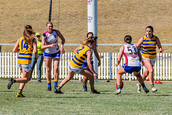 WPD Elimination Final - Macquarie Uni v Sydney Uni - 20 August 2
