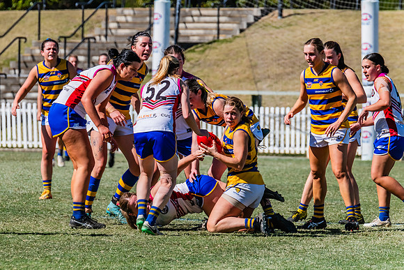 WPD Elimination Final - Macquarie Uni v Sydney Uni - 20 August 2