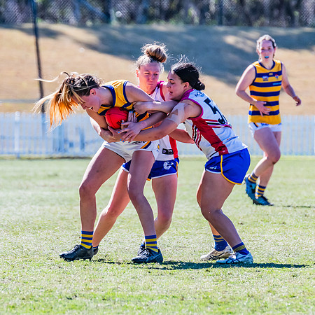 WPD Elimination Final - Macquarie Uni v Sydney Uni - 20 August 2