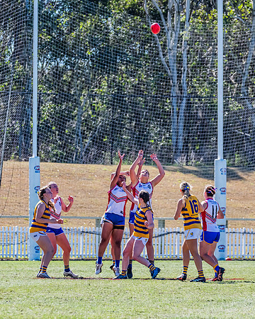 WPD Elimination Final - Macquarie Uni v Sydney Uni - 20 August 2