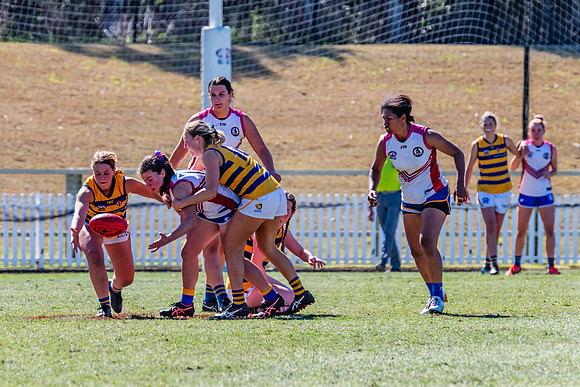 WPD Elimination Final - Macquarie Uni v Sydney Uni - 20 August 2