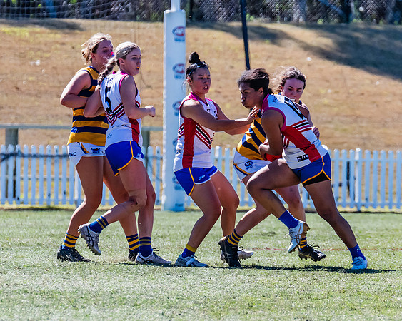 WPD Elimination Final - Macquarie Uni v Sydney Uni - 20 August 2