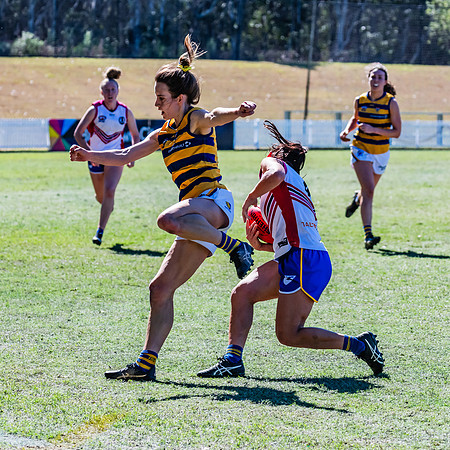 WPD Elimination Final - Macquarie Uni v Sydney Uni - 20 August 2