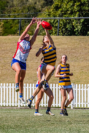 WPD Elimination Final - Macquarie Uni v Sydney Uni - 20 August 2