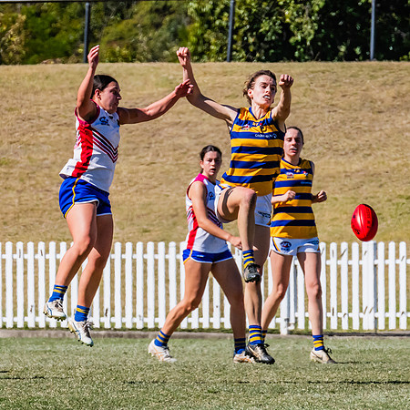 WPD Elimination Final - Macquarie Uni v Sydney Uni - 20 August 2