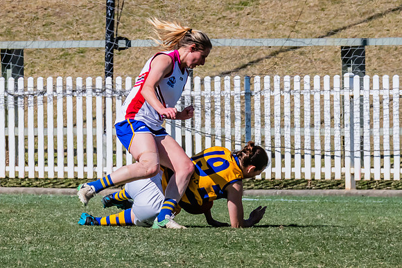 WPD Elimination Final - Macquarie Uni v Sydney Uni - 20 August 2