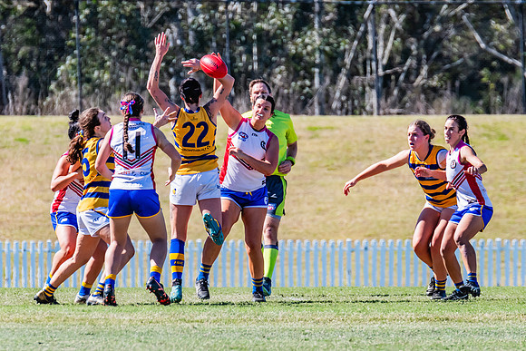 WPD Elimination Final - Macquarie Uni v Sydney Uni - 20 August 2