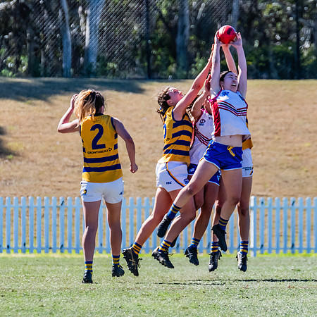 WPD Elimination Final - Macquarie Uni v Sydney Uni - 20 August 2