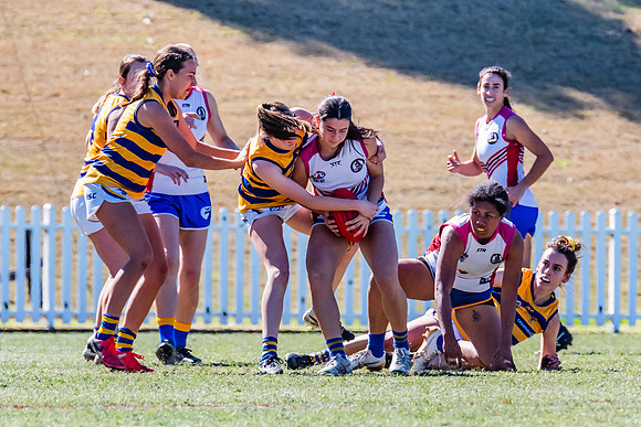 WPD Elimination Final - Macquarie Uni v Sydney Uni - 20 August 2