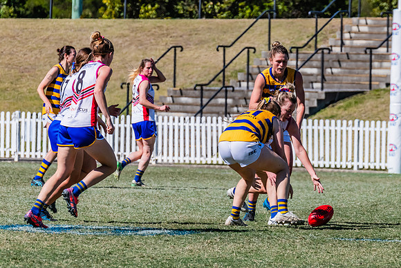 WPD Elimination Final - Macquarie Uni v Sydney Uni - 20 August 2
