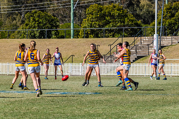 WPD Elimination Final - Macquarie Uni v Sydney Uni - 20 August 2
